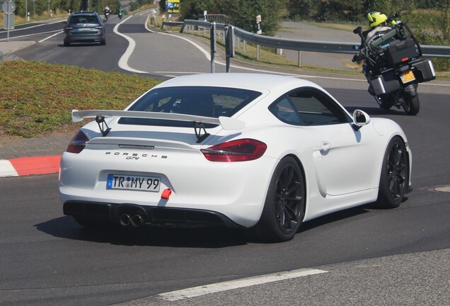 Porsche 981 Cayman GT4