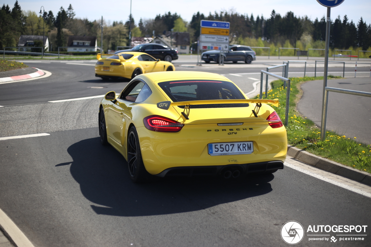 Porsche 981 Cayman GT4