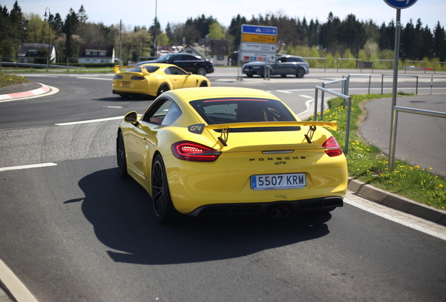 Porsche 981 Cayman GT4