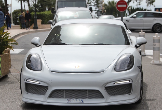 Porsche 981 Cayman GT4