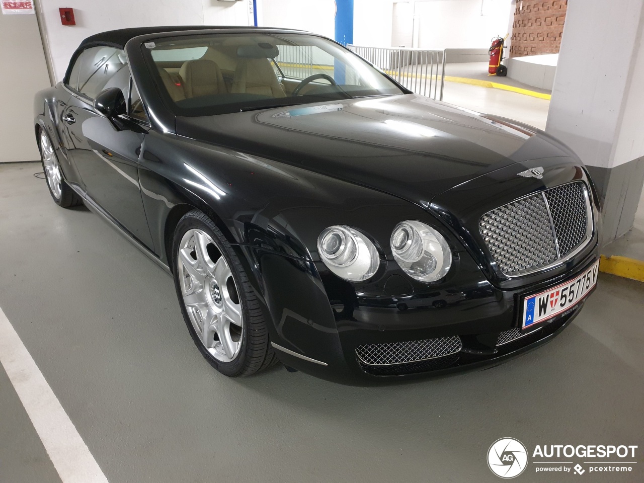 Bentley Continental GTC