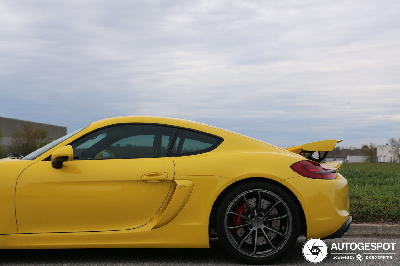 Porsche 981 Cayman GT4