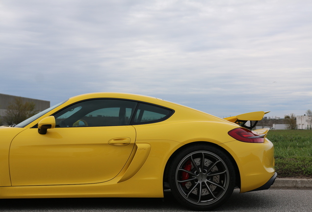 Porsche 981 Cayman GT4