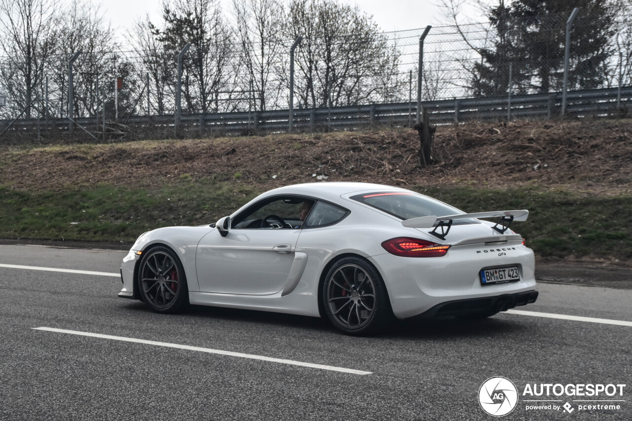 Porsche 981 Cayman GT4