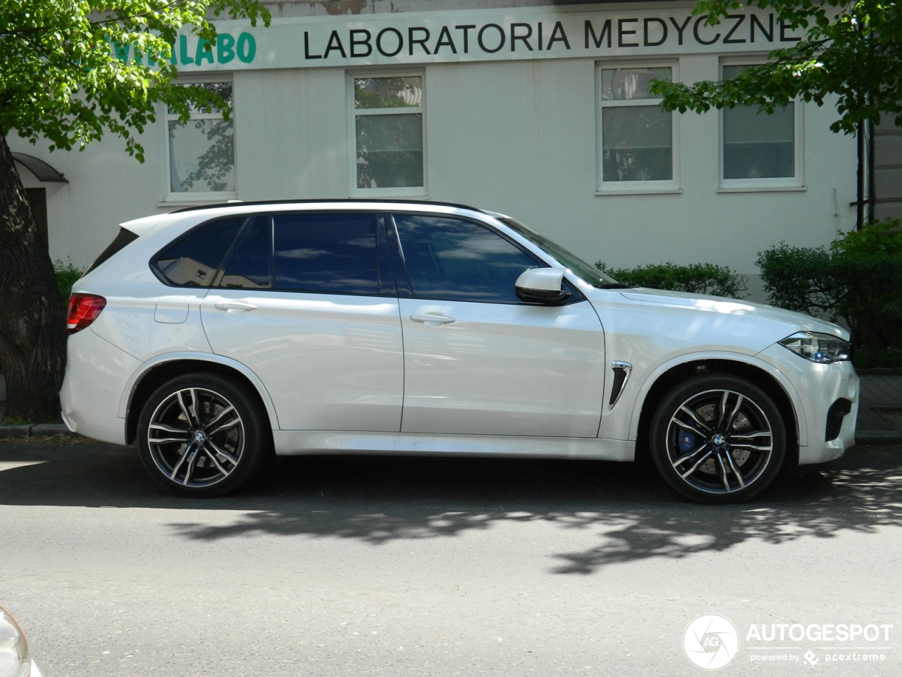 BMW X5 M F85