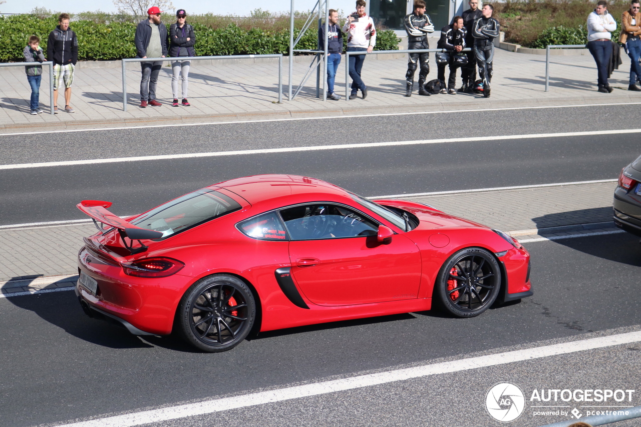 Porsche 981 Cayman GT4