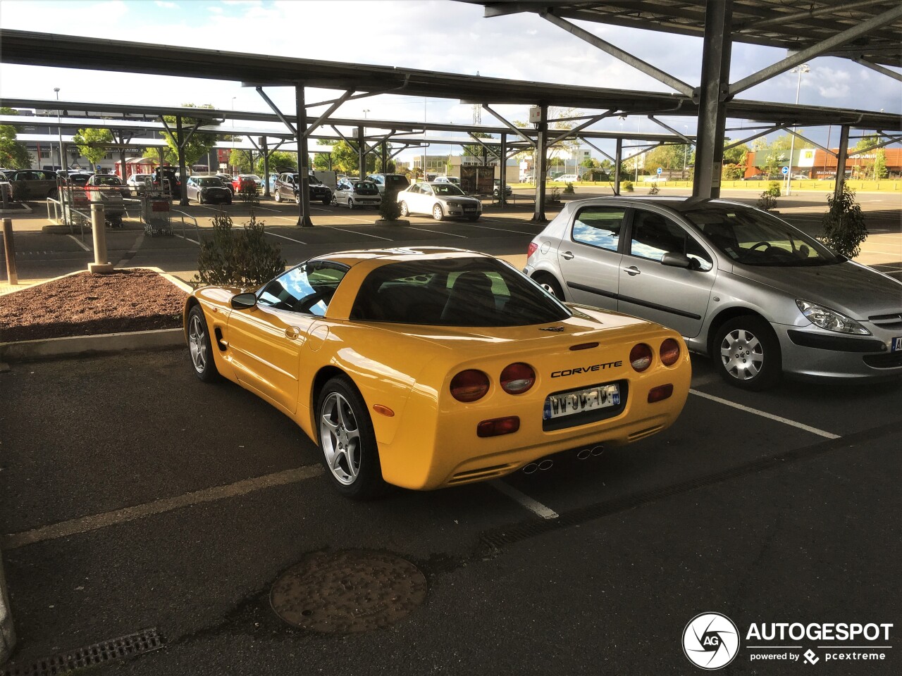 Chevrolet Corvette C5