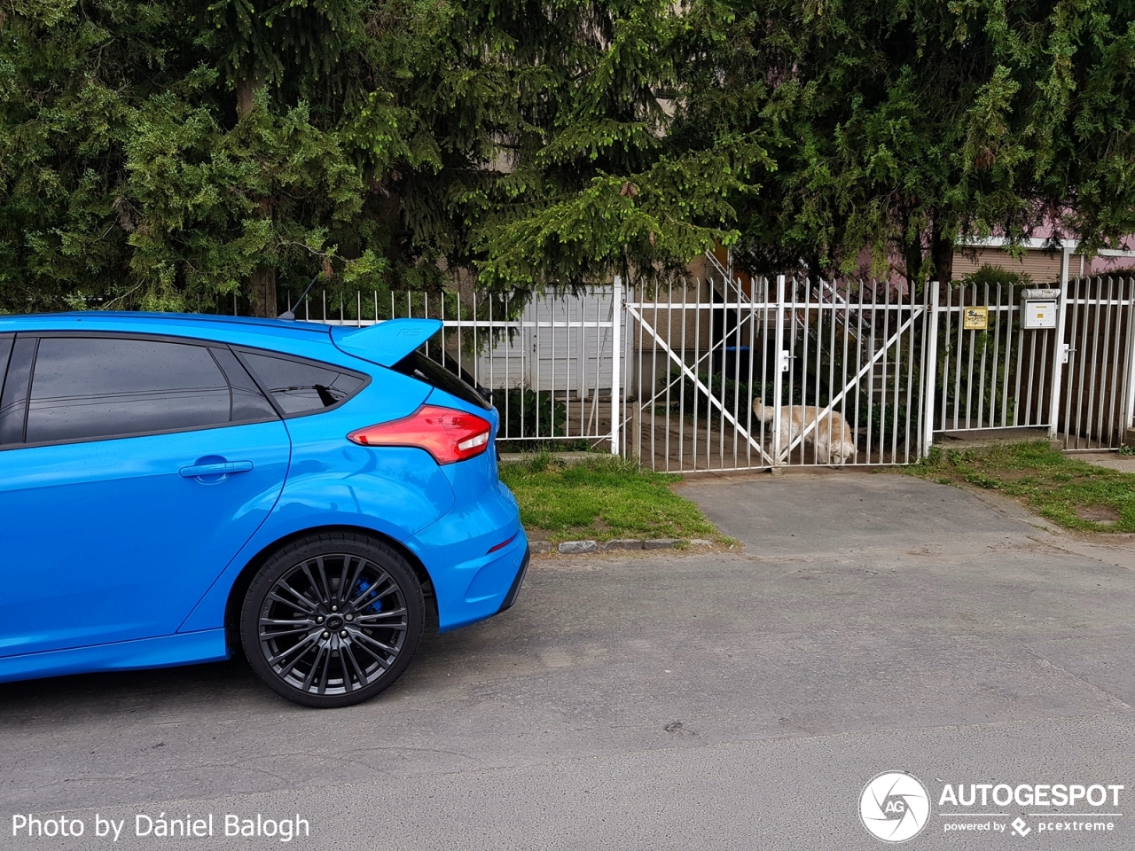 Ford Focus RS 2015