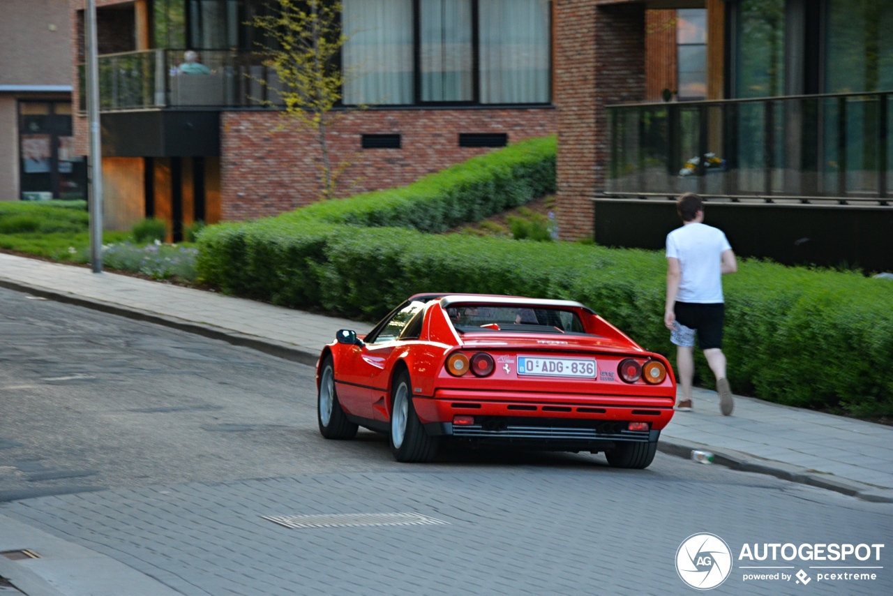 Ferrari GTS Turbo