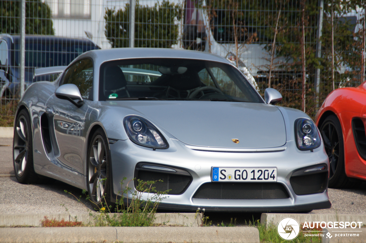 Porsche 981 Cayman GT4