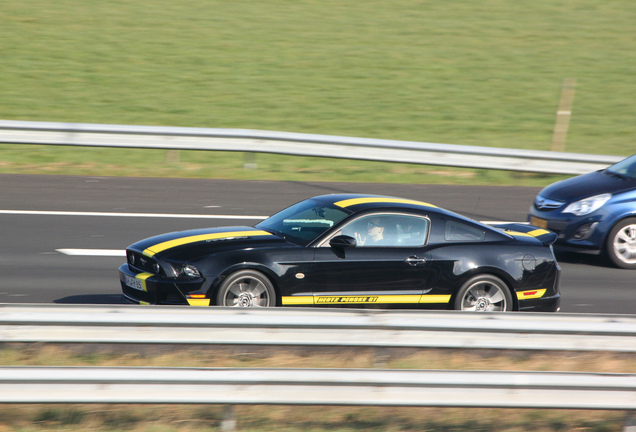 Ford Mustang GT 2013 Penske