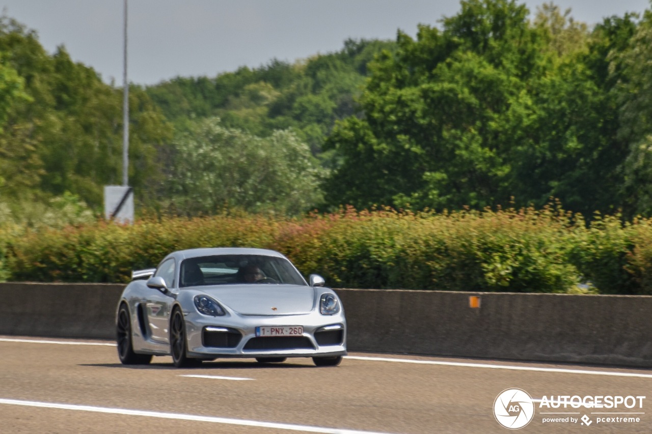 Porsche 981 Cayman GT4