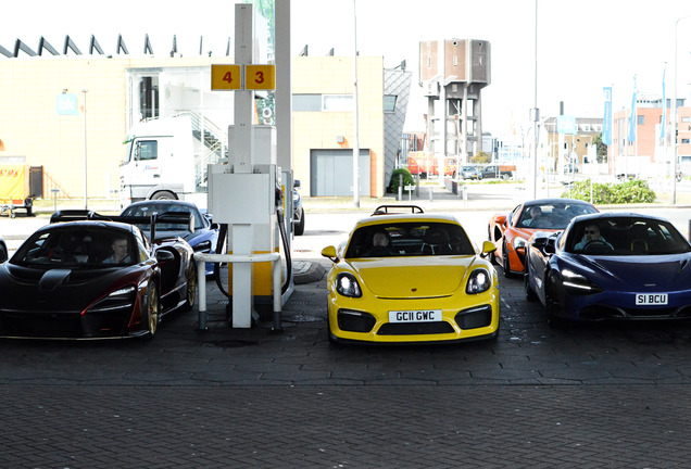 Porsche 981 Cayman GT4