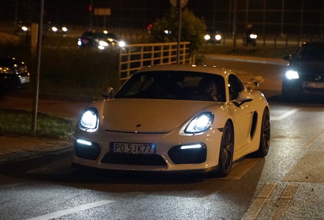 Porsche 981 Cayman GT4