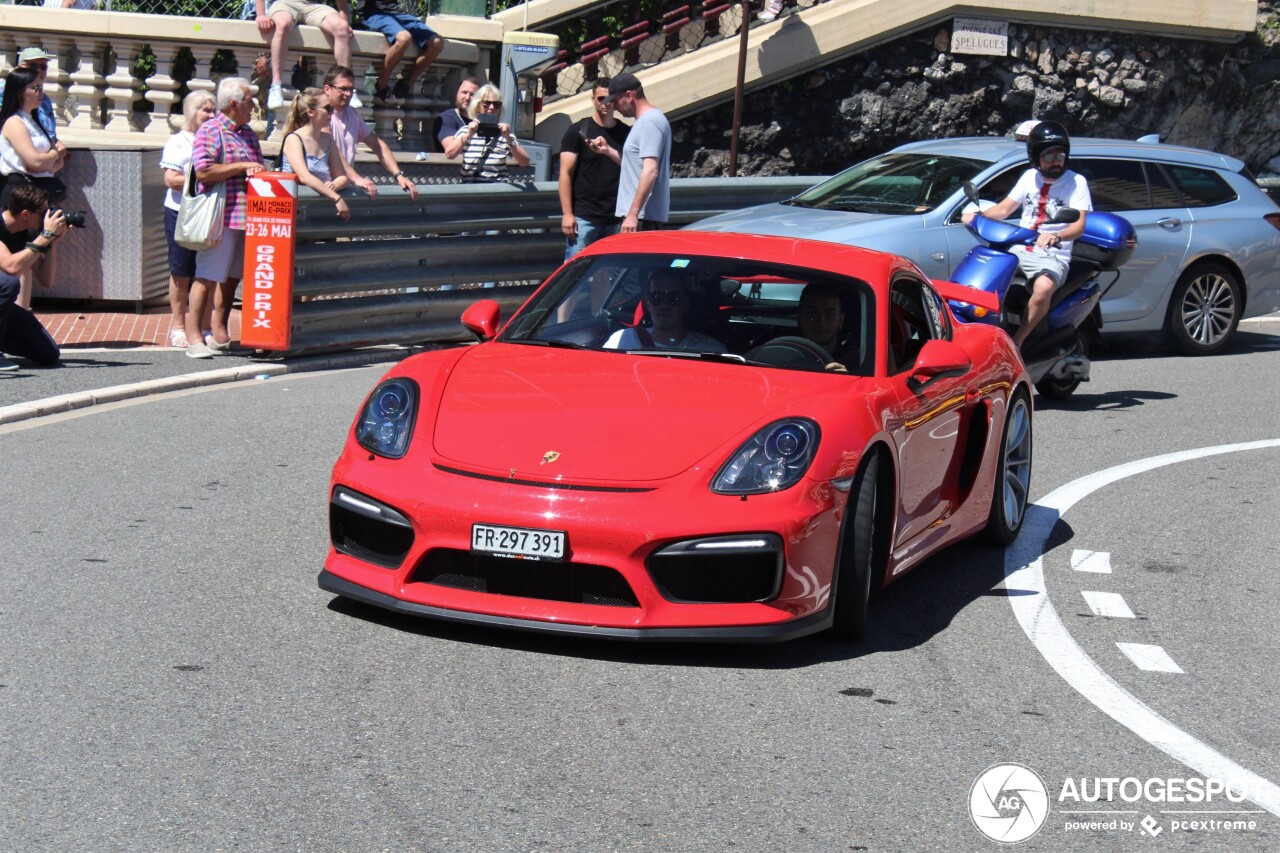 Porsche 981 Cayman GT4