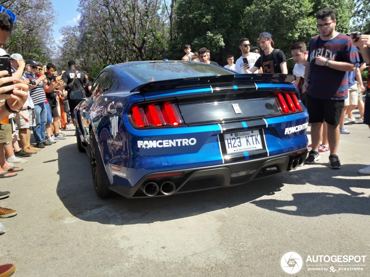 Ford Mustang Shelby GT350 2015