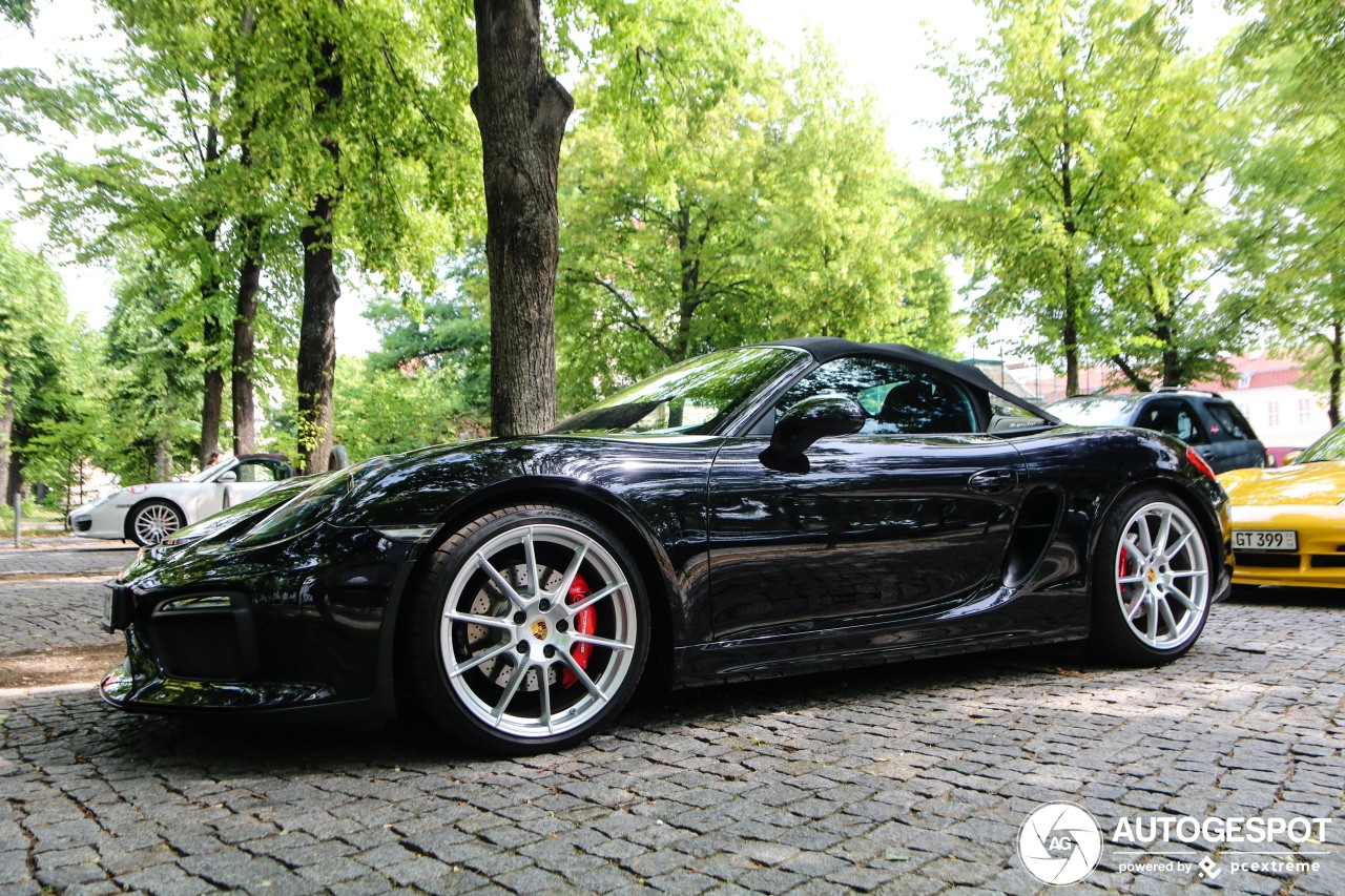 Porsche 981 Boxster Spyder