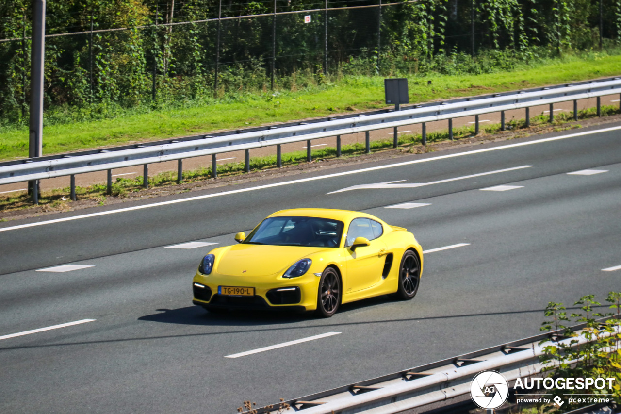 Porsche 981 Cayman GTS