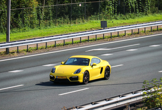 Porsche 981 Cayman GTS