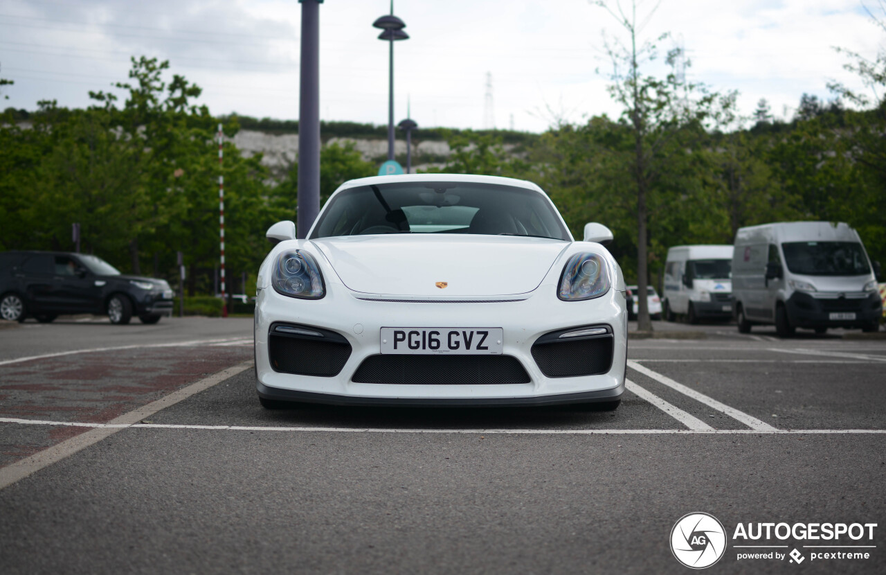 Porsche 981 Cayman GT4