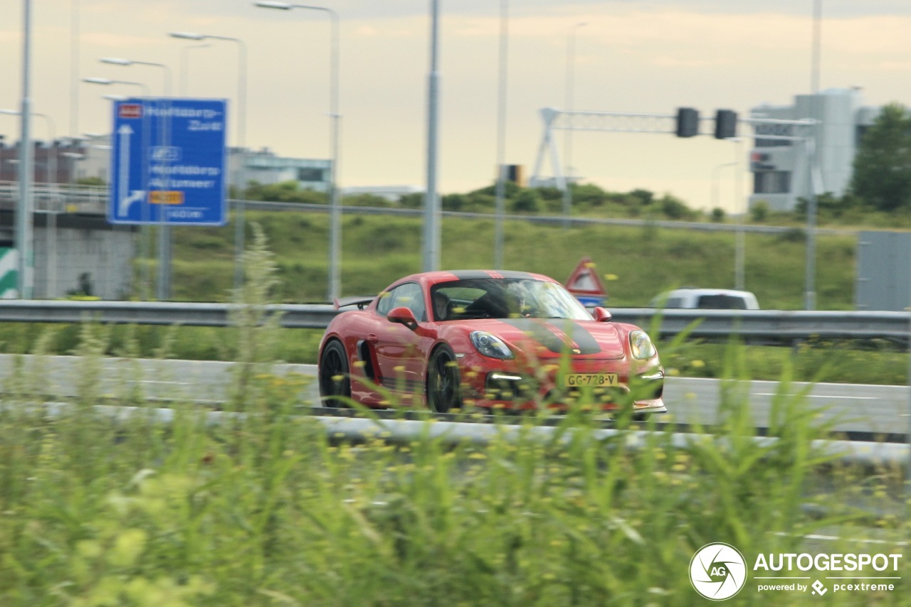 Porsche 981 Cayman GT4