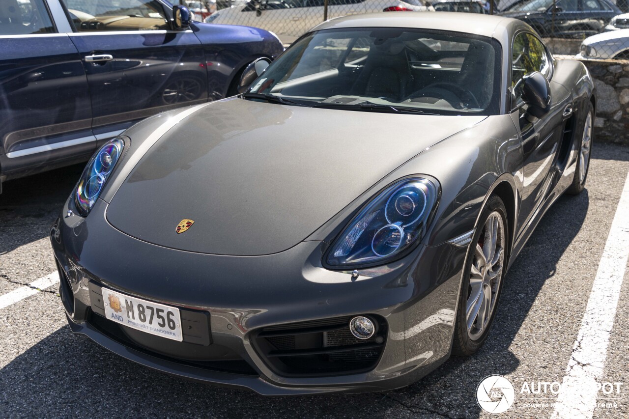 Porsche 981 Cayman S