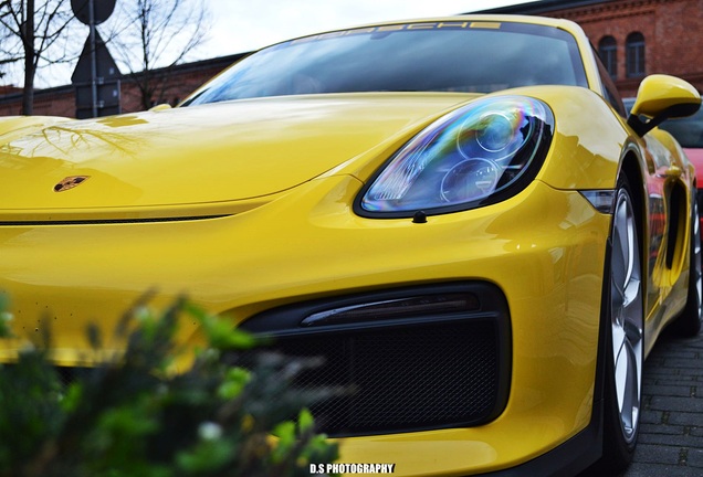 Porsche 981 Cayman GT4