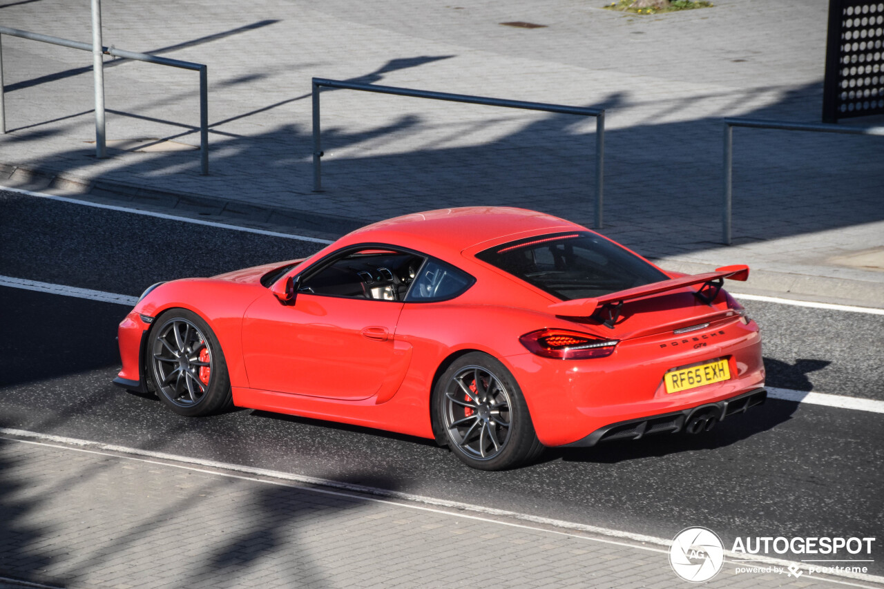 Porsche 981 Cayman GT4