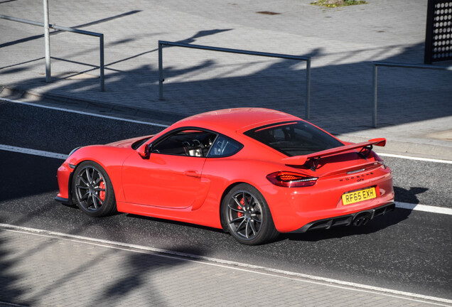 Porsche 981 Cayman GT4