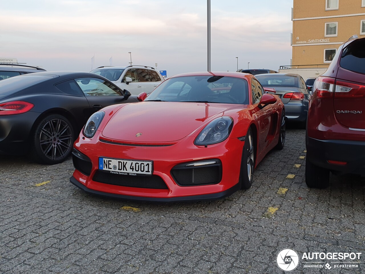 Porsche 981 Cayman GT4