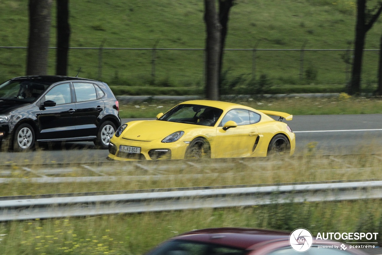 Porsche 981 Cayman GT4