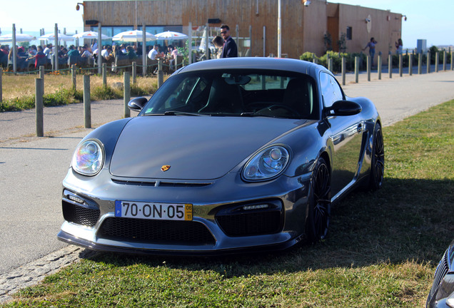 Porsche 987 Cayman S