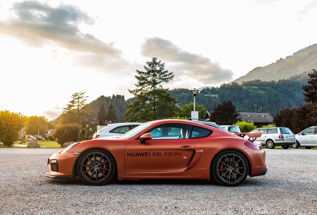 Porsche 981 Cayman GT4