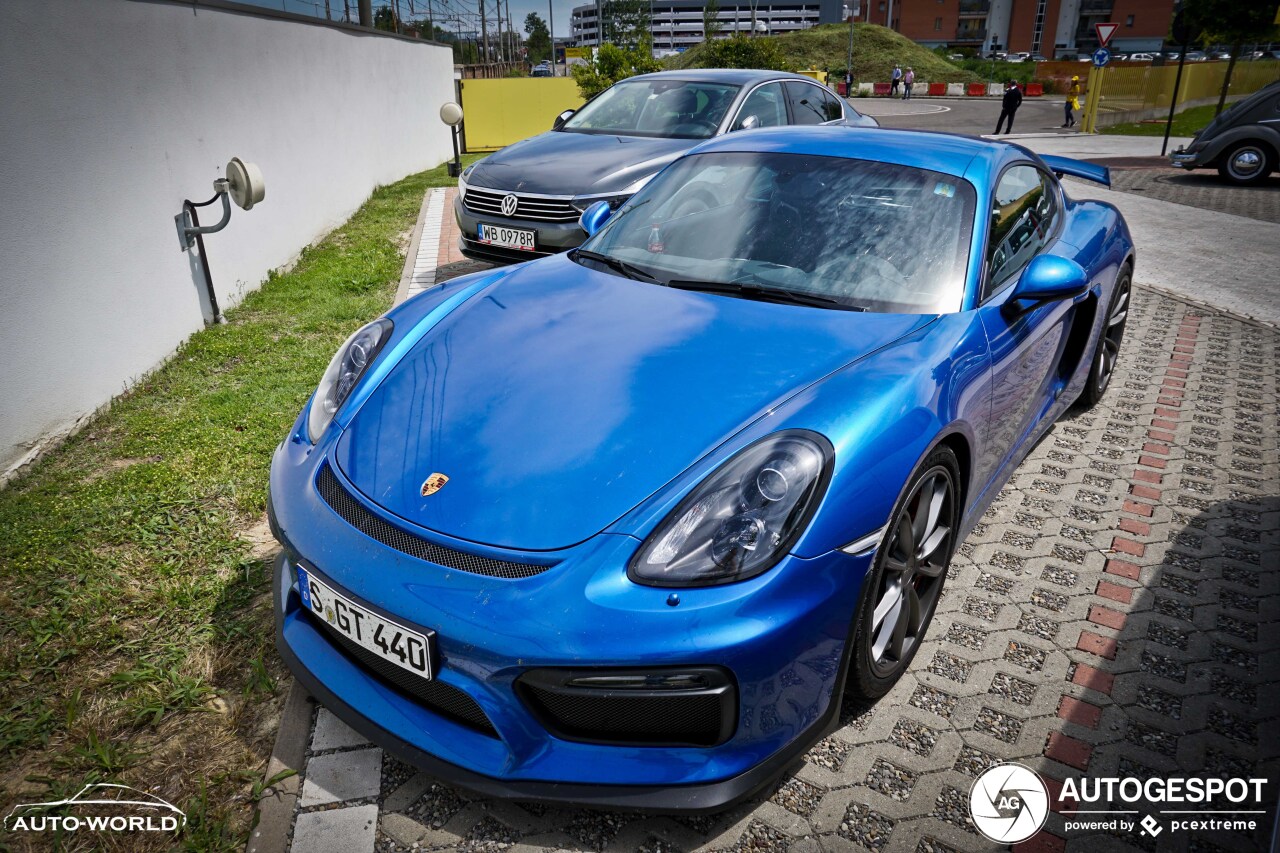 Porsche 981 Cayman GT4