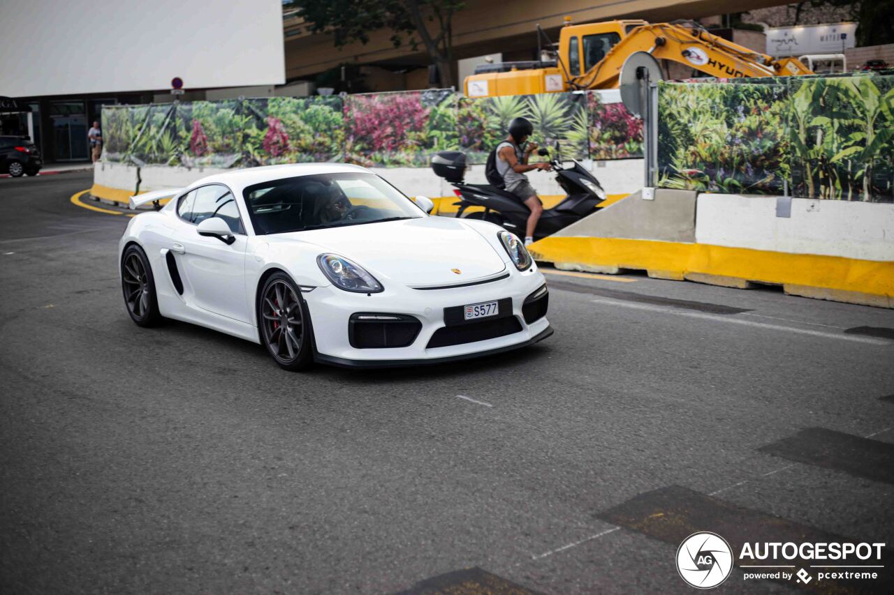 Porsche 981 Cayman GT4