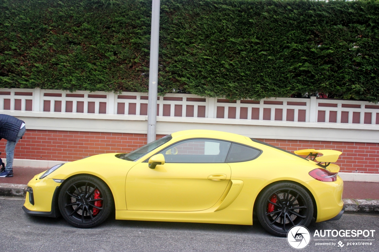 Porsche 981 Cayman GT4