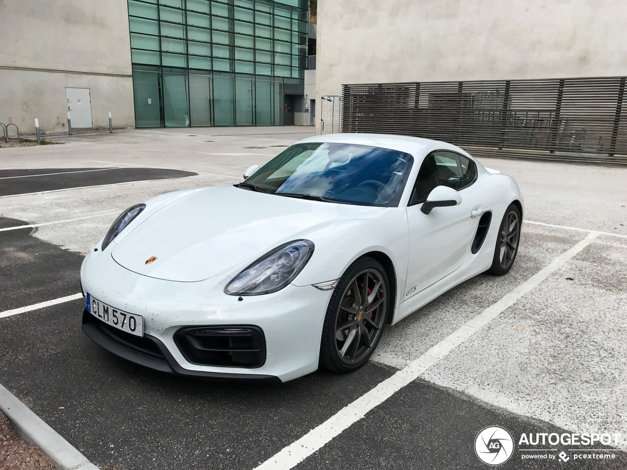 Porsche 981 Cayman GTS