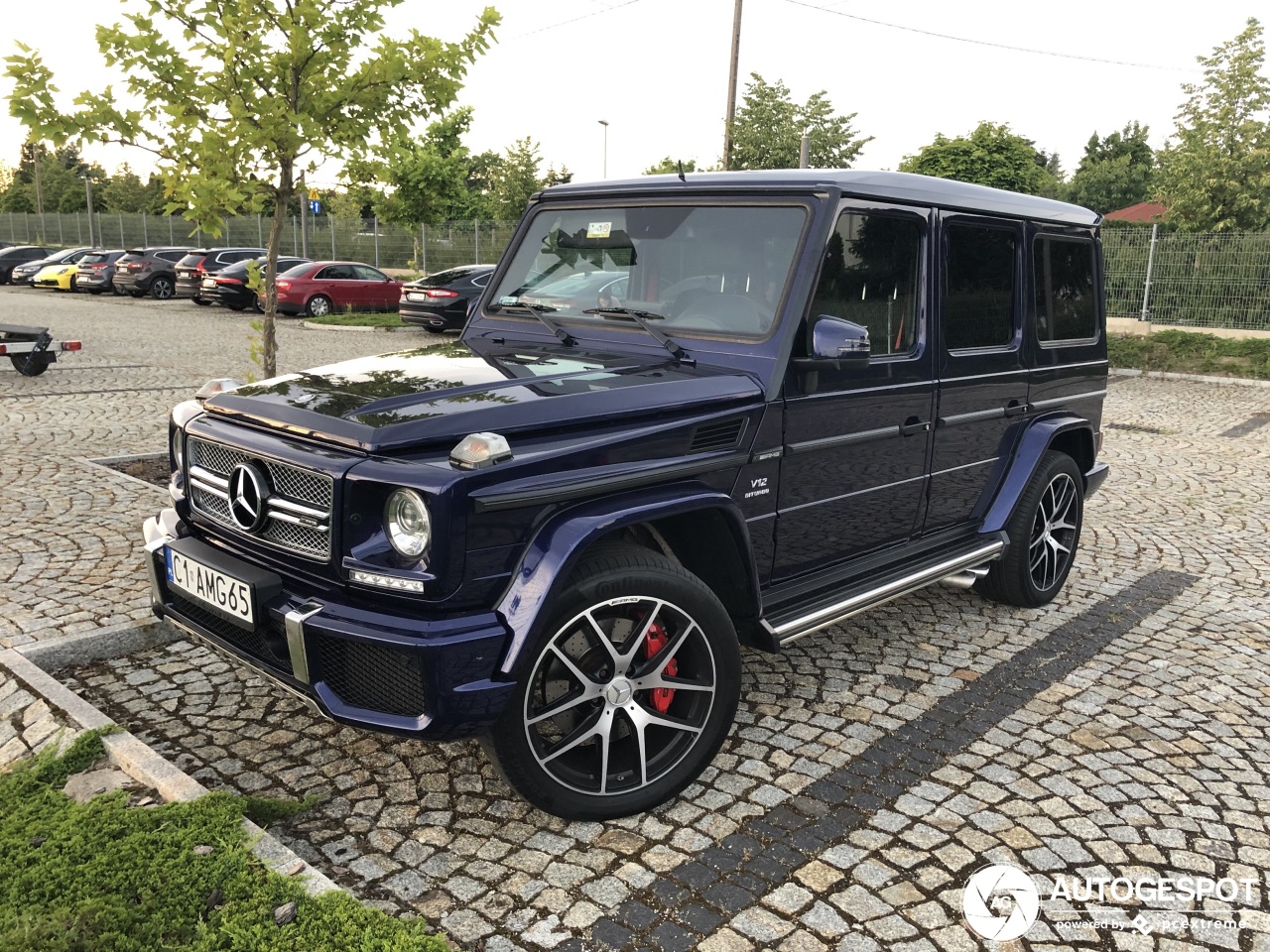 Mercedes-AMG G 65 2016 Edition 463