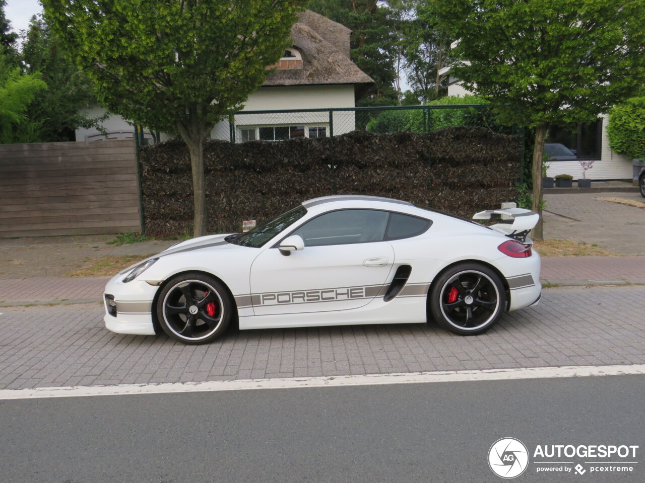 Porsche TechArt Cayman S 2013