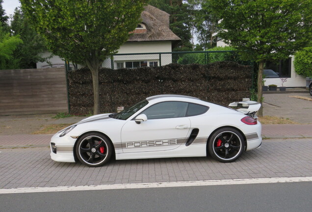 Porsche TechArt Cayman S 2013