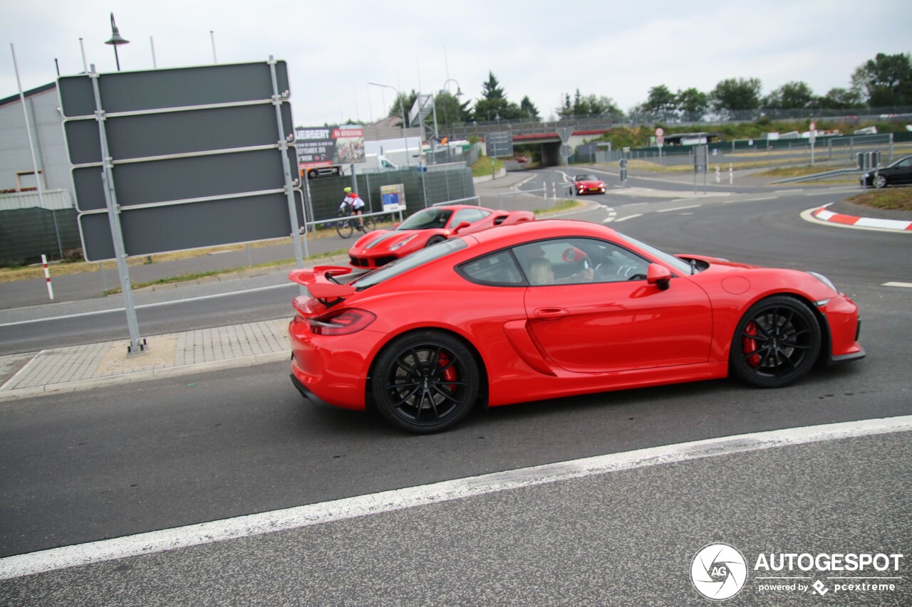 Porsche 981 Cayman GT4