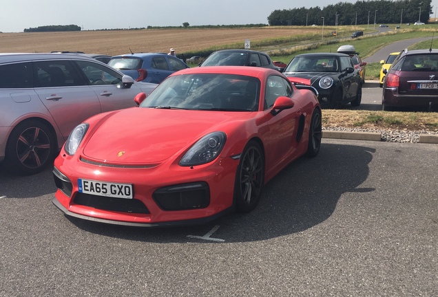 Porsche 981 Cayman GT4