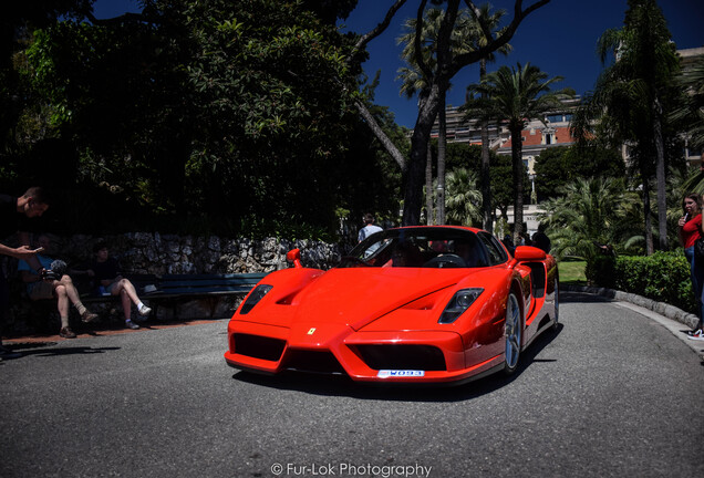 Ferrari Enzo Ferrari