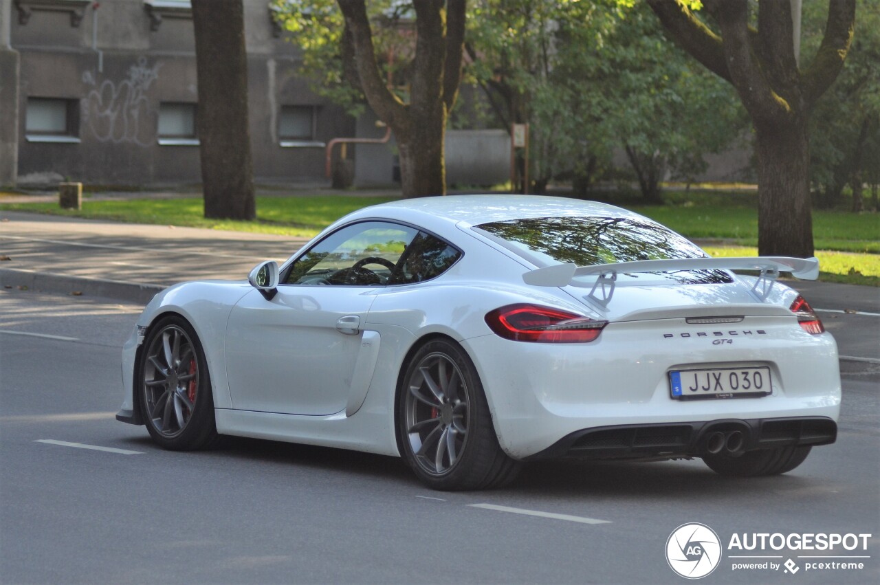 Porsche 981 Cayman GT4