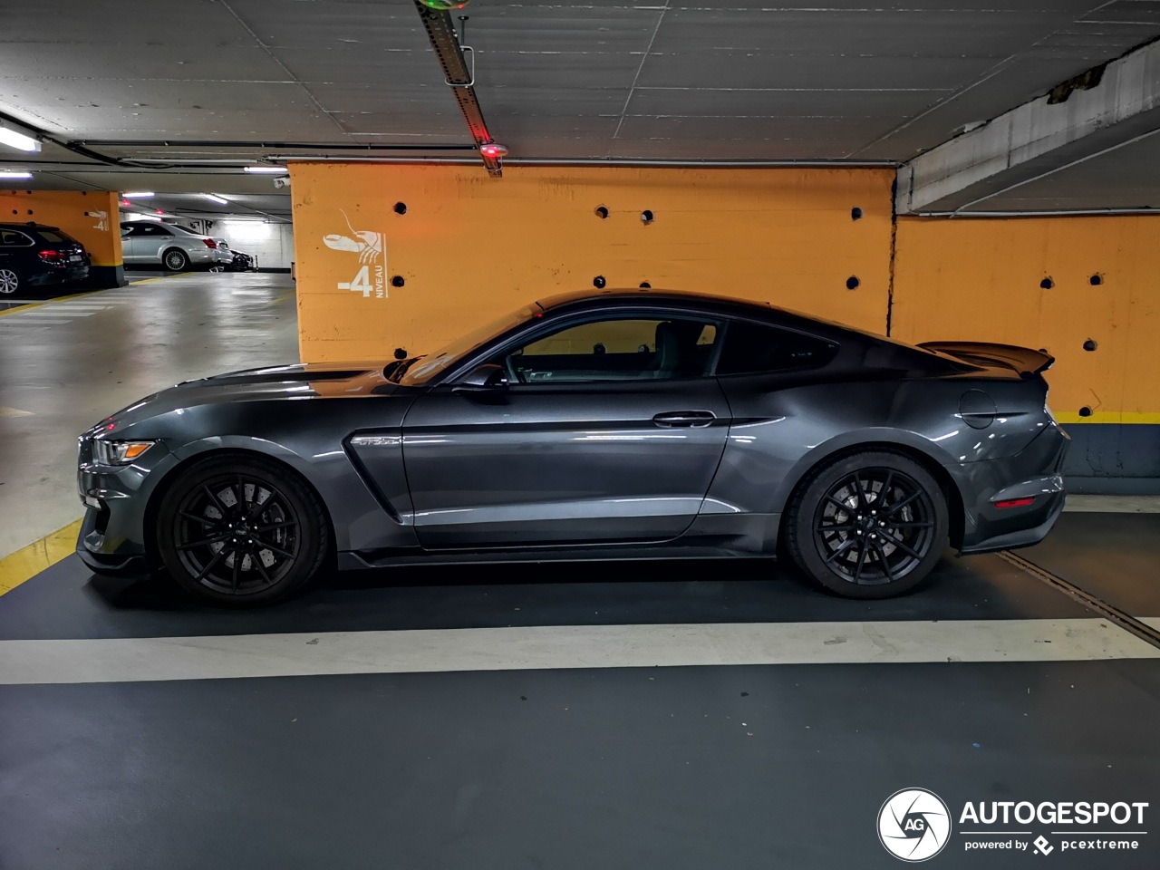 Ford Mustang Shelby GT350 2015