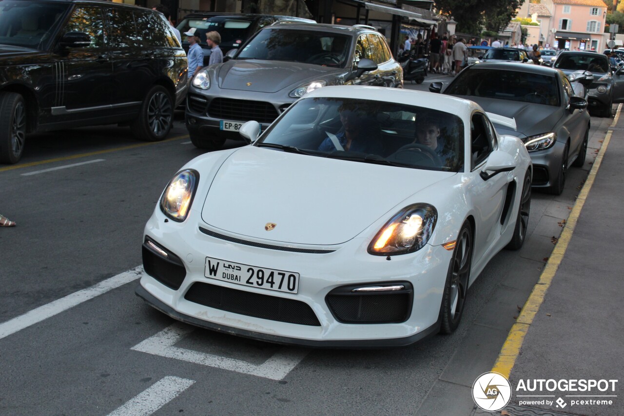 Porsche 981 Cayman GT4