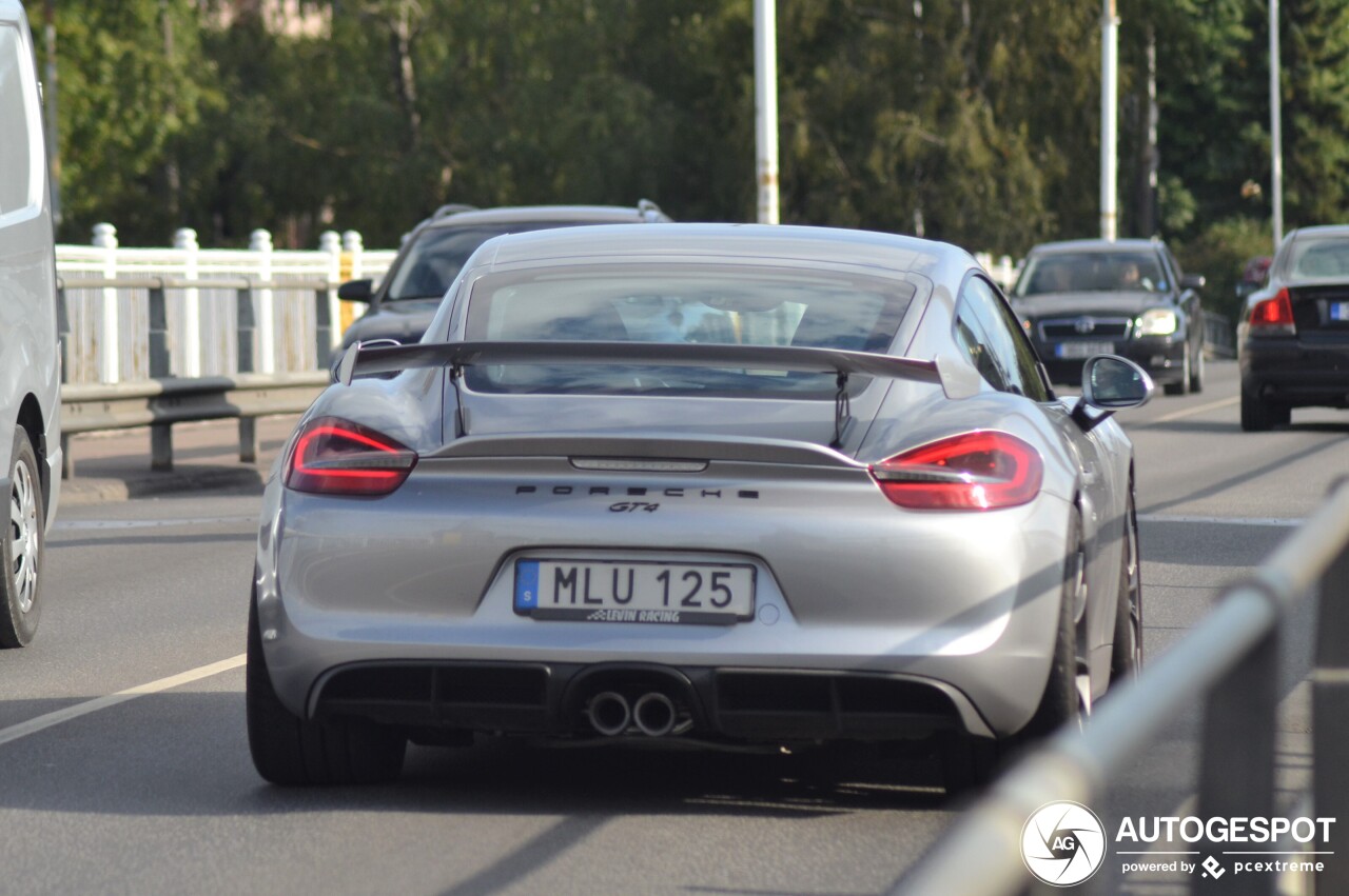 Porsche 981 Cayman GT4