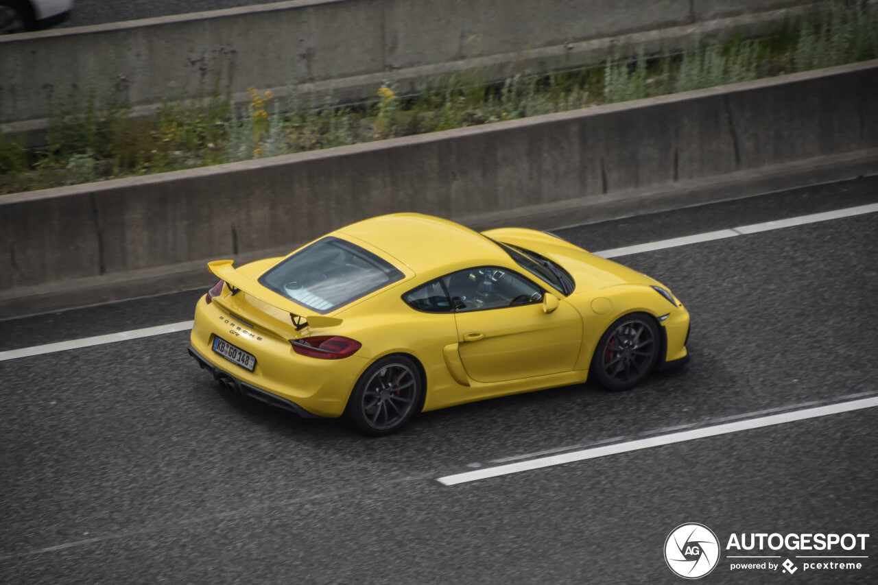 Porsche 981 Cayman GT4