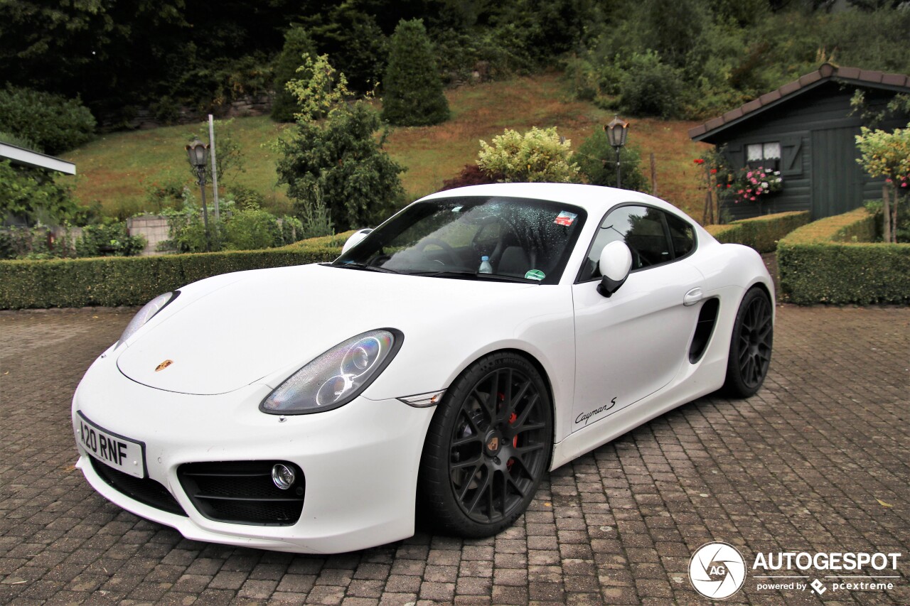 Porsche 981 Cayman S