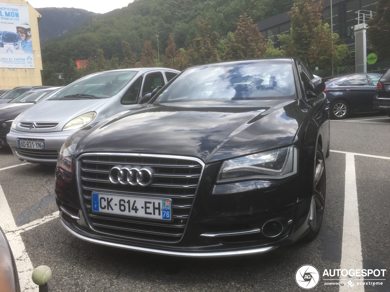 Audi S8 D4